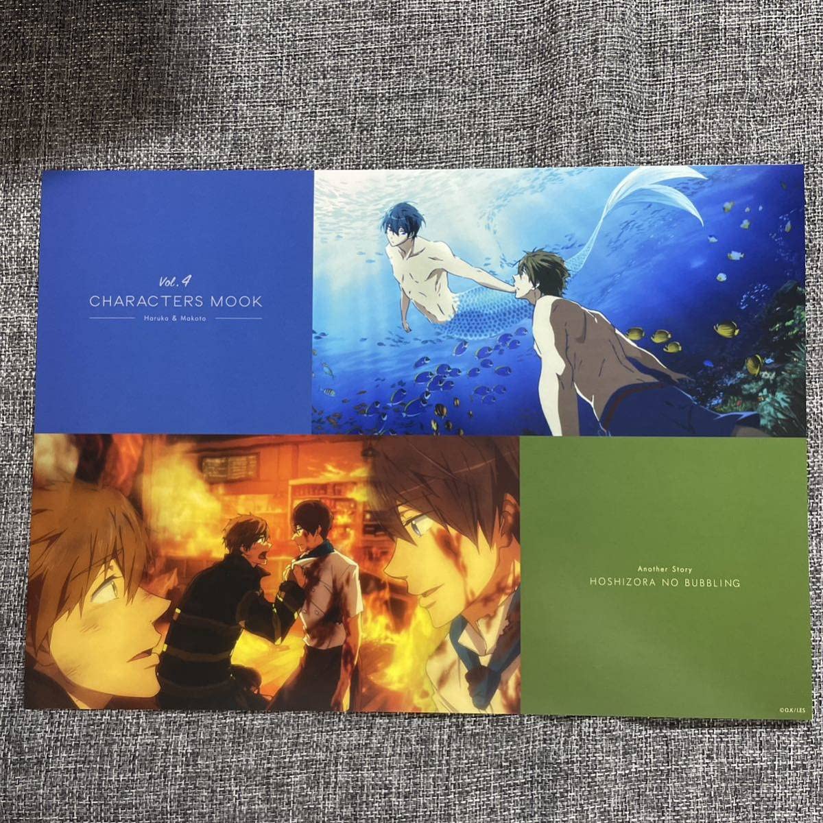 カード・フォト・ブロマイド Free! CHARACTERS MOOK VISUAL FRAME Amazon.co.jp: Free Characters Mook, Visual Frame, Makoto